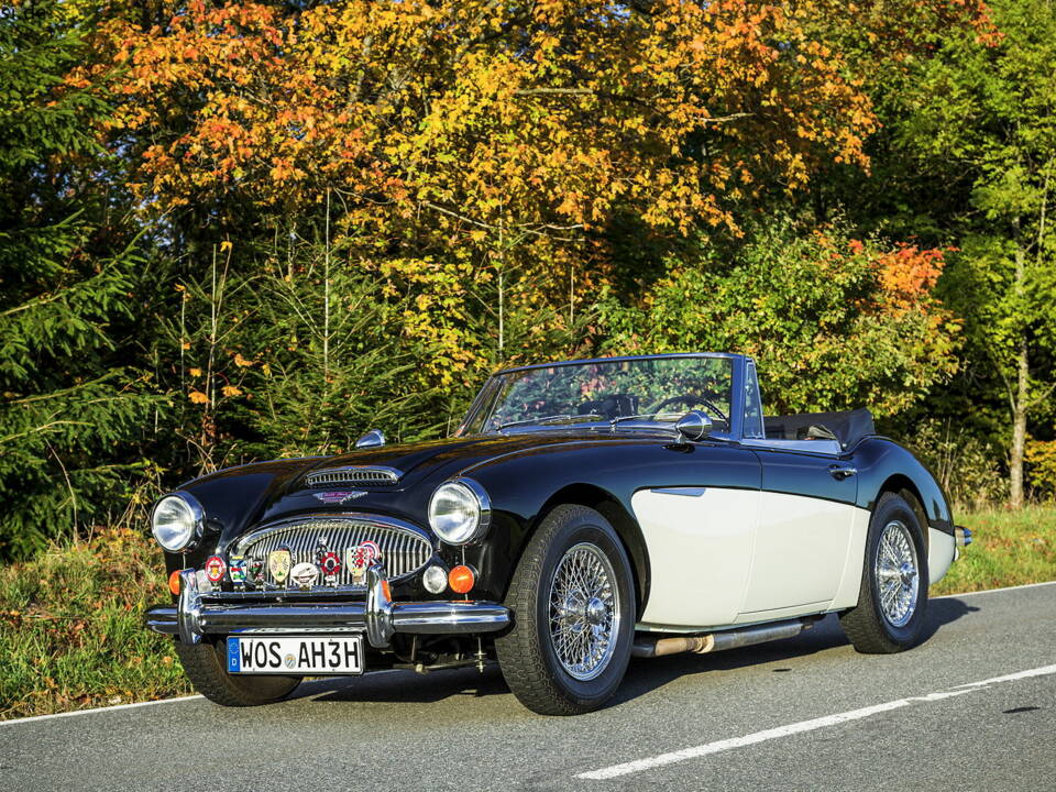 Image 33/35 of Austin-Healey 3000 Mk III (BJ8) (1965)