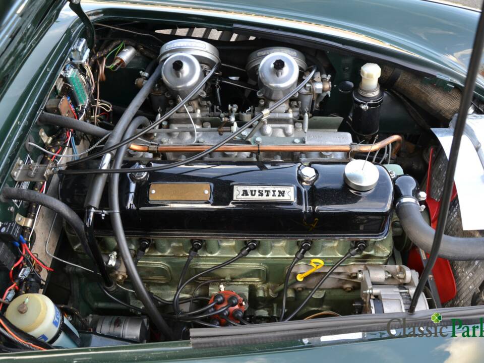 Bild 43/50 von Austin-Healey 3000 Mk III (BJ8) (1967)