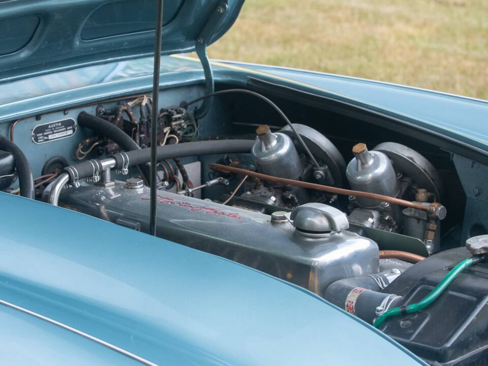 Bild 35/50 von Austin-Healey 100/6 (BN4) (1956)