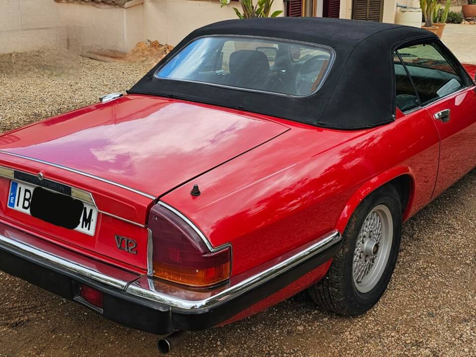 Bild 5/8 von Jaguar XJ-S Convertible (1989)