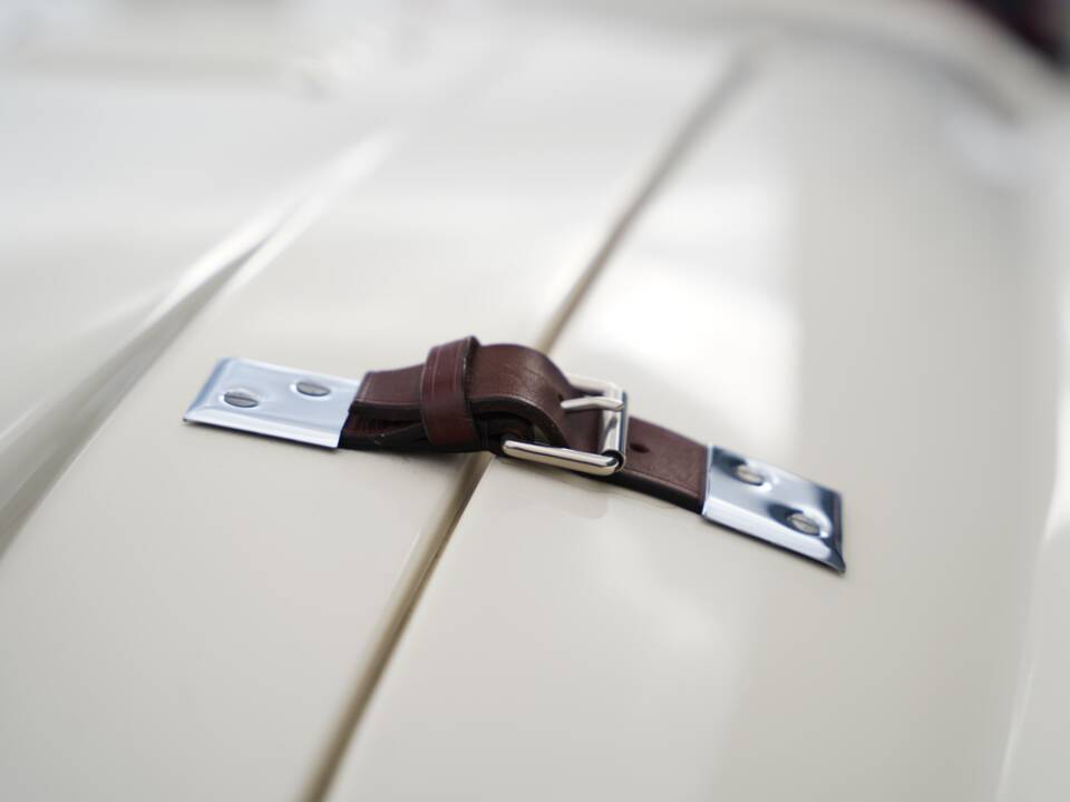 Image 38/50 of Austin-Healey 100&#x2F;6 (BN6) (1958)