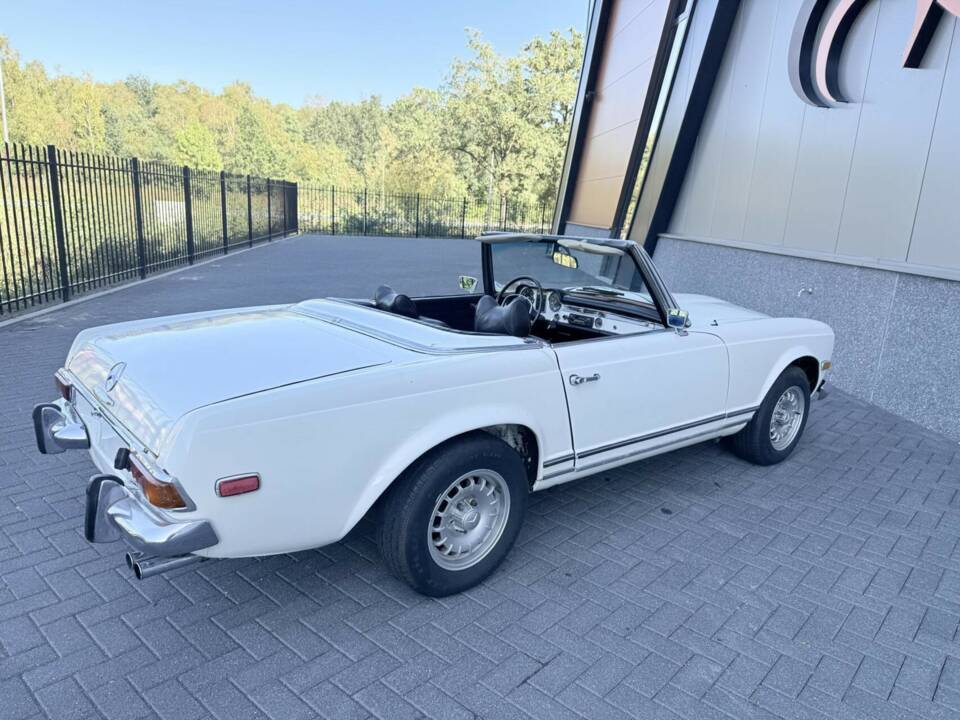 Image 12/50 of Mercedes-Benz 280 SL (1970)