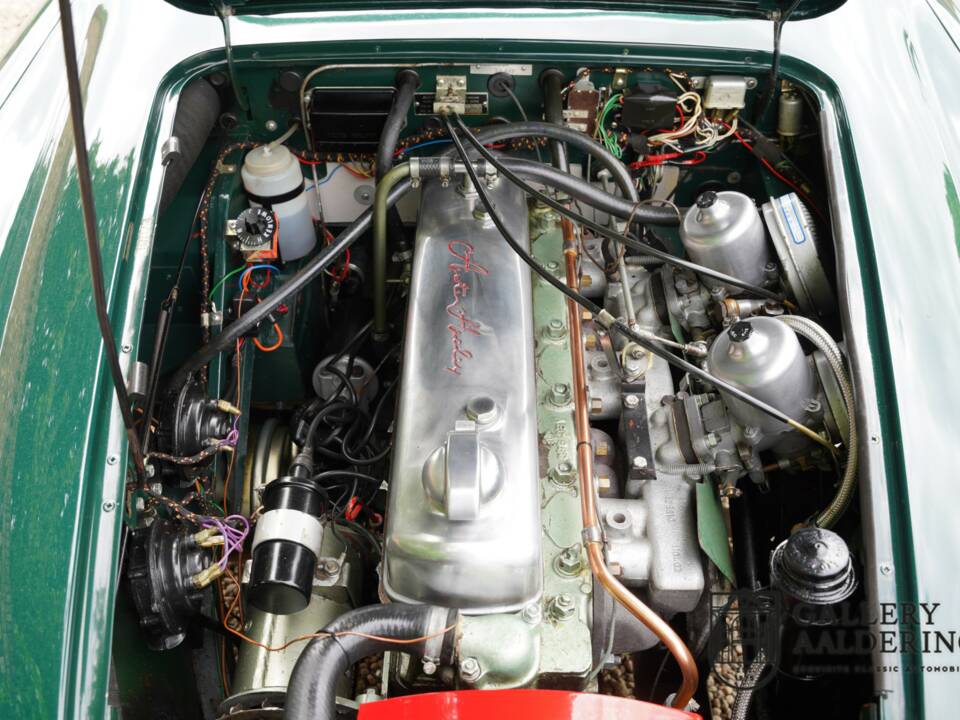 Afbeelding 25/50 van Austin-Healey 3000 Mk III (BJ8) (1966)
