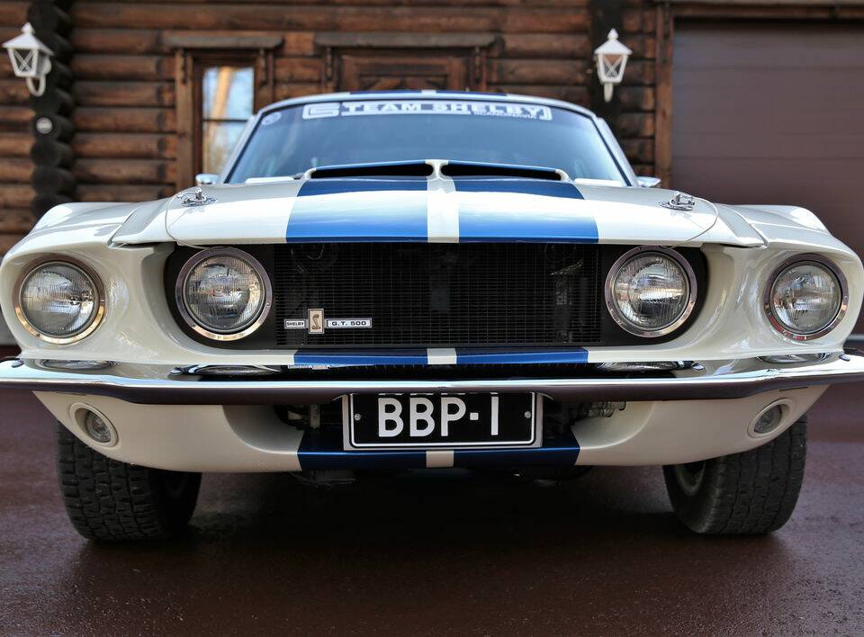 Image 6/8 of Ford Shelby GT 500 (1967)