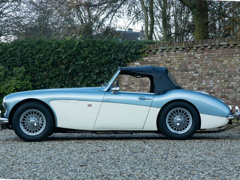Bild 43/50 von Austin-Healey 3000 Mk I (BN7) (1960)