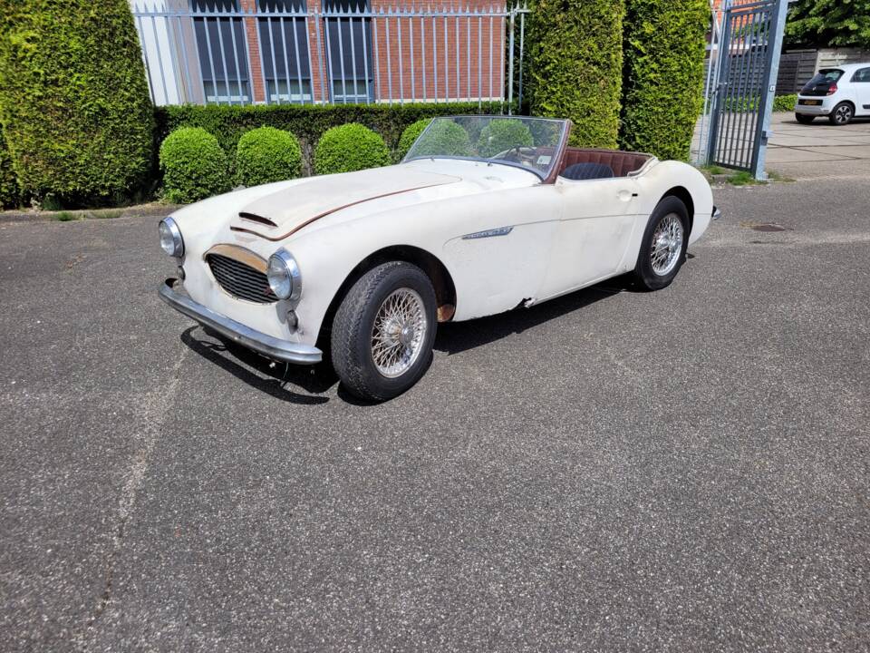 Bild 7/16 von Austin-Healey 3000 Mk I (BT7) (1960)