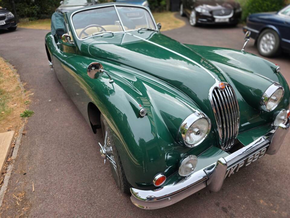 Bild 12/45 von Jaguar XK 140 DHC (1955)