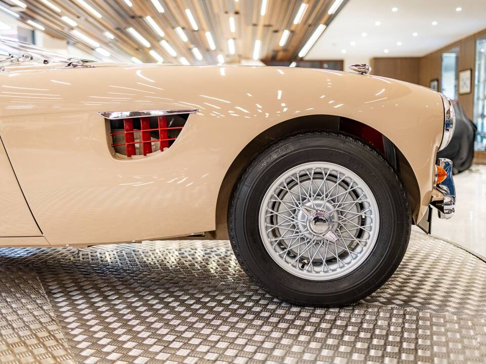 Immagine 33/50 di Austin-Healey 100/4 (BN1) (1954)