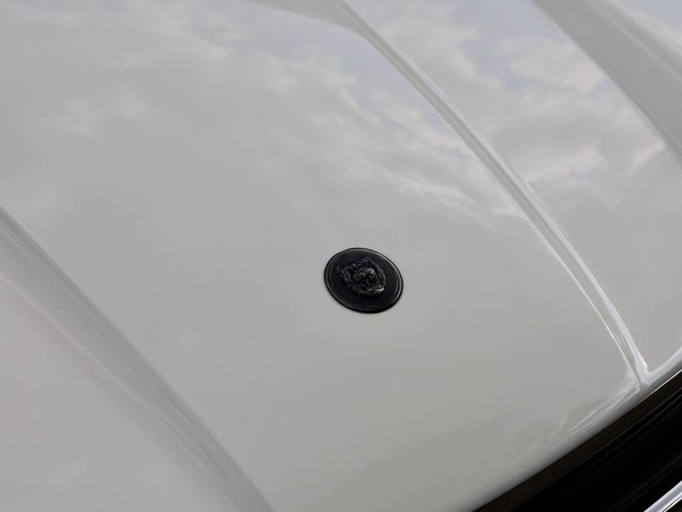 Image 20/29 of Jaguar XJS 4.0 (1991)