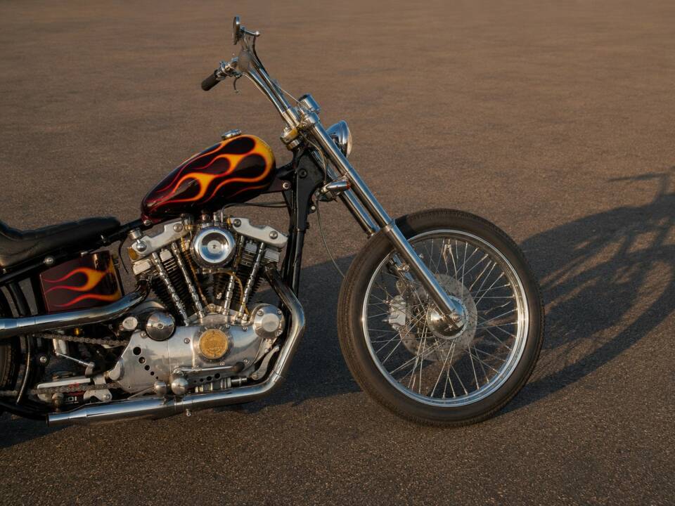 Imagen 7/24 de Harley-Davidson Easy Rider Billy Bike (1900)
