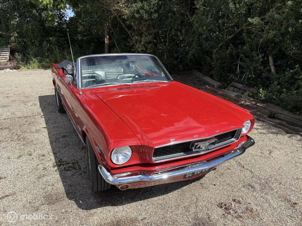 Bild 42/50 von Ford Mustang 289 (1966)