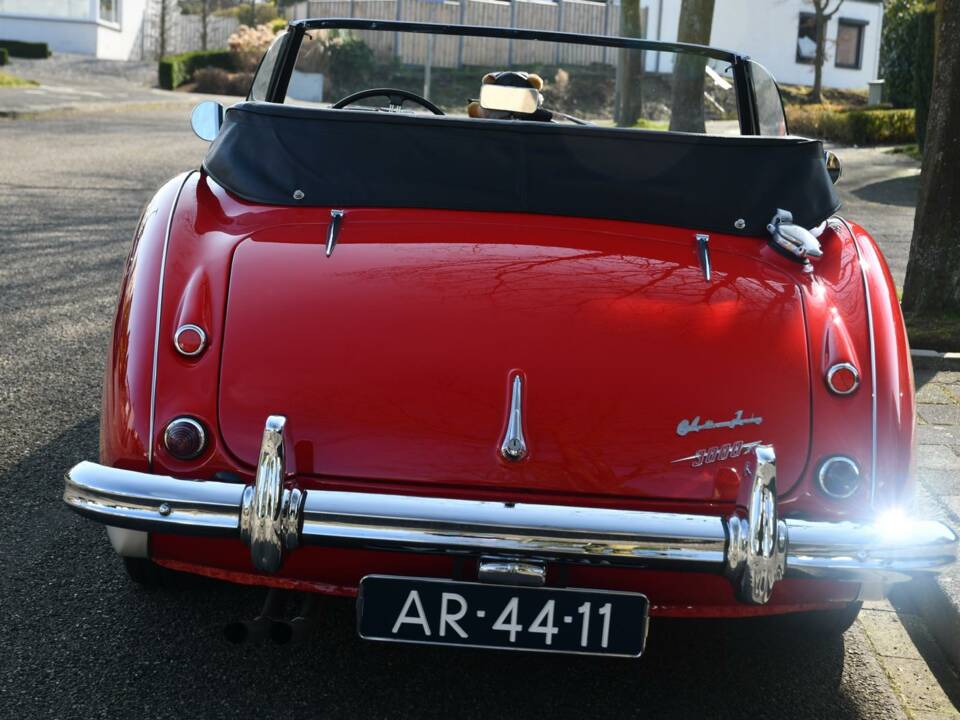 Afbeelding 6/8 van Austin-Healey 3000 Mk II (BJ7) (1963)