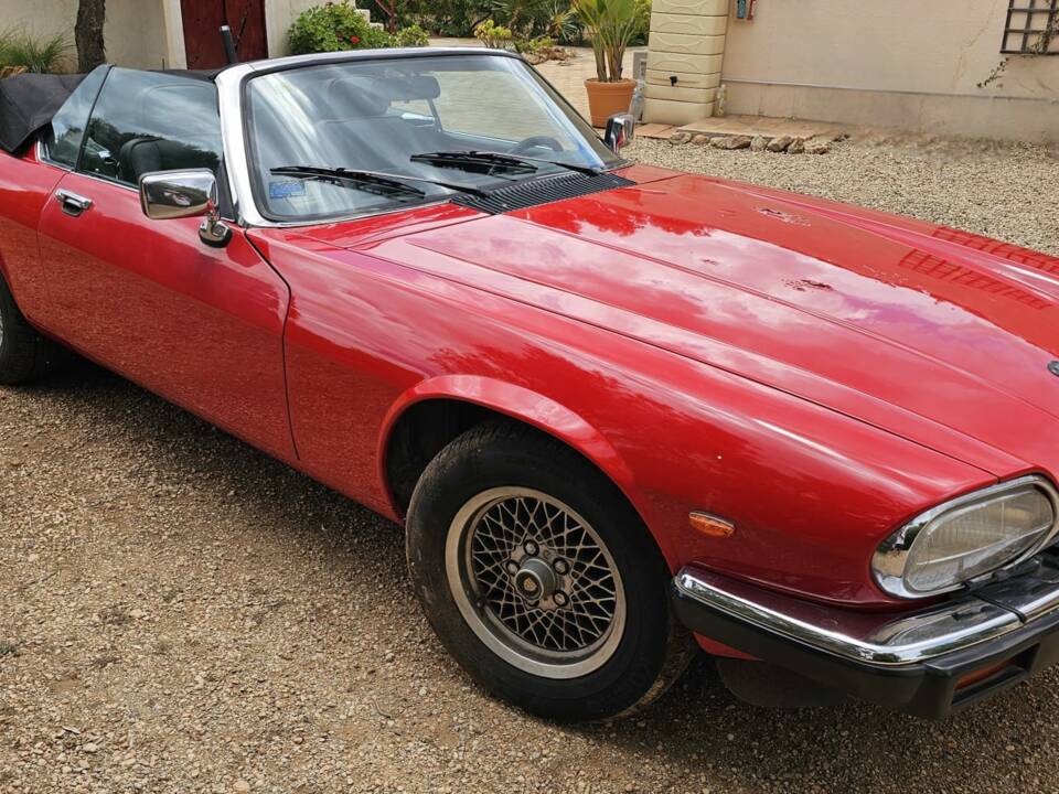 Bild 1/8 von Jaguar XJ-S Convertible (1989)