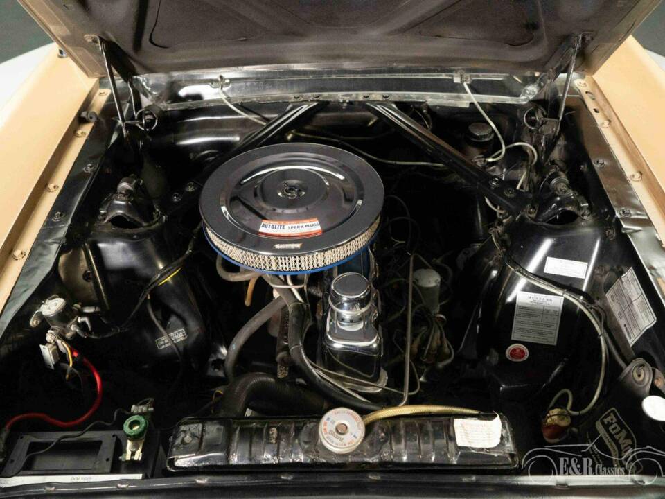 Bild 18/19 von Ford Mustang 200 (1965)