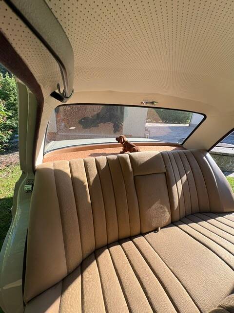 Image 23/52 of Mercedes-Benz 250 SE (1966)
