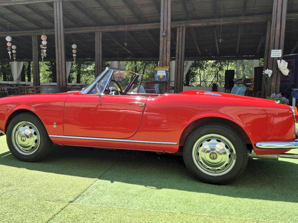 Image 17/71 of Alfa Romeo Giulietta Spider (1961)