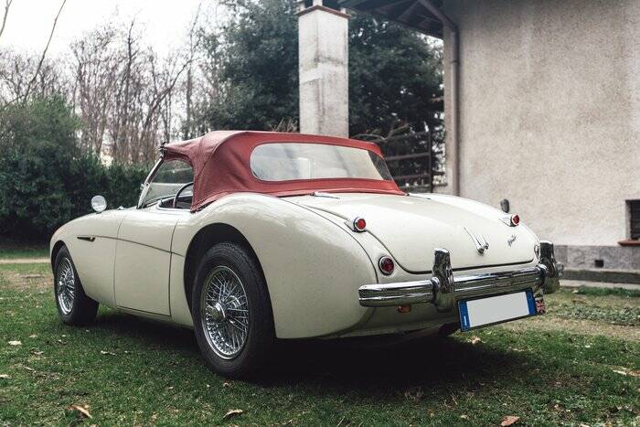 Bild 6/7 von Austin-Healey 100&#x2F;4 (BN1) (1954)