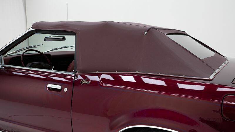 Bild 9/15 von Ford Thunderbird (1979)