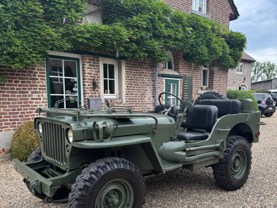 Immagine 13/20 di Jeep Willys-Overland CJ-3A (1950)