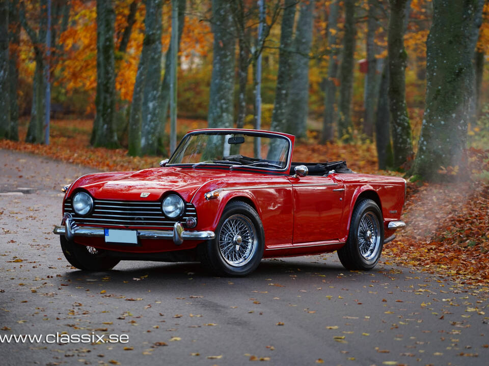 Bild 10/26 von Triumph TR 5 PI (1968)