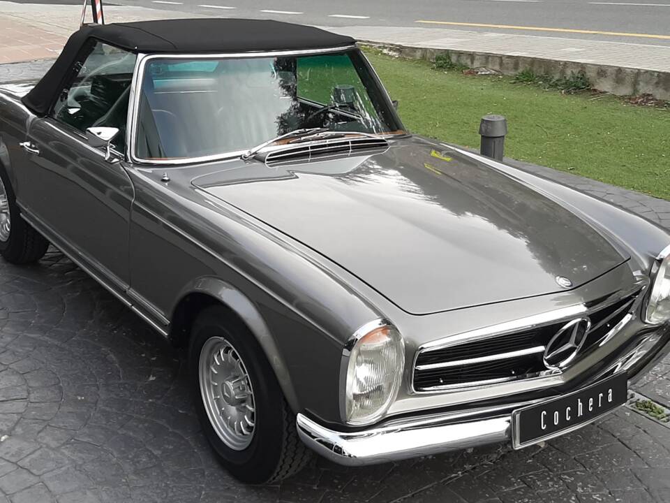 Immagine 11/16 di Mercedes-Benz 280 SL (1970)