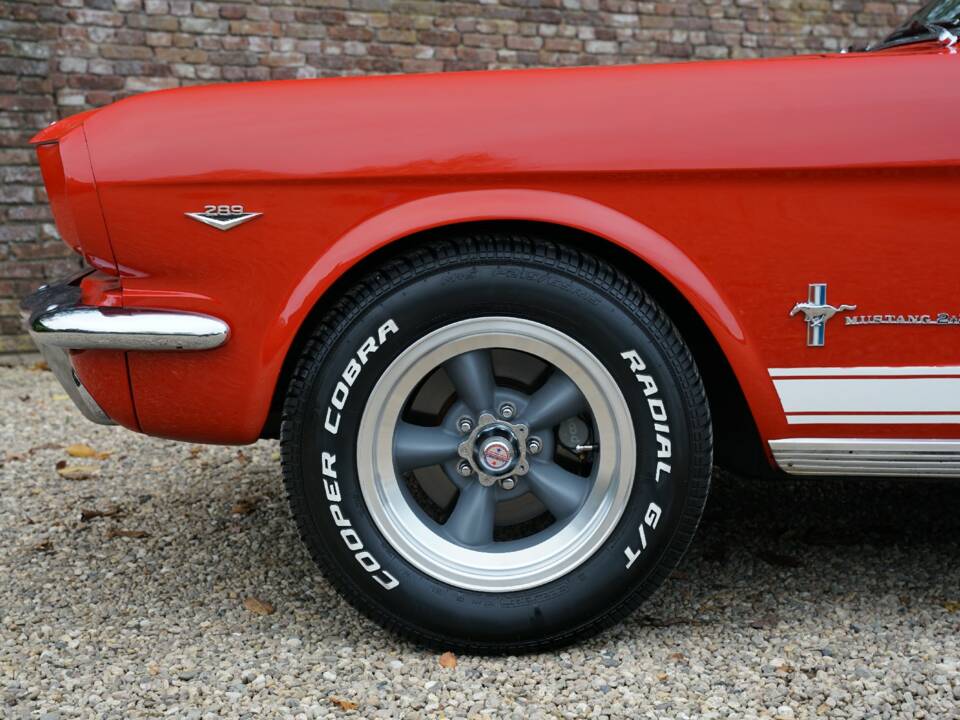 Immagine 13/50 di Ford Mustang 289 (1965)