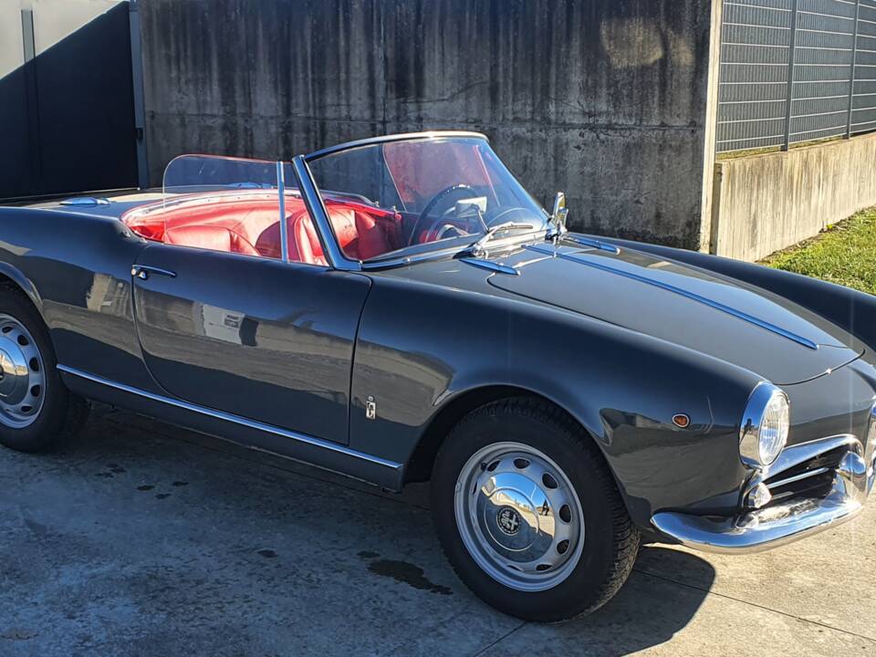 Bild 17/50 von Alfa Romeo Giulietta Spider (1959)