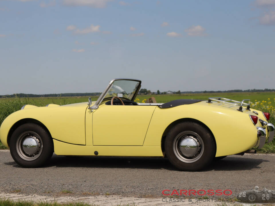 Immagine 5/44 di Austin-Healey Sprite Mk I (1959)