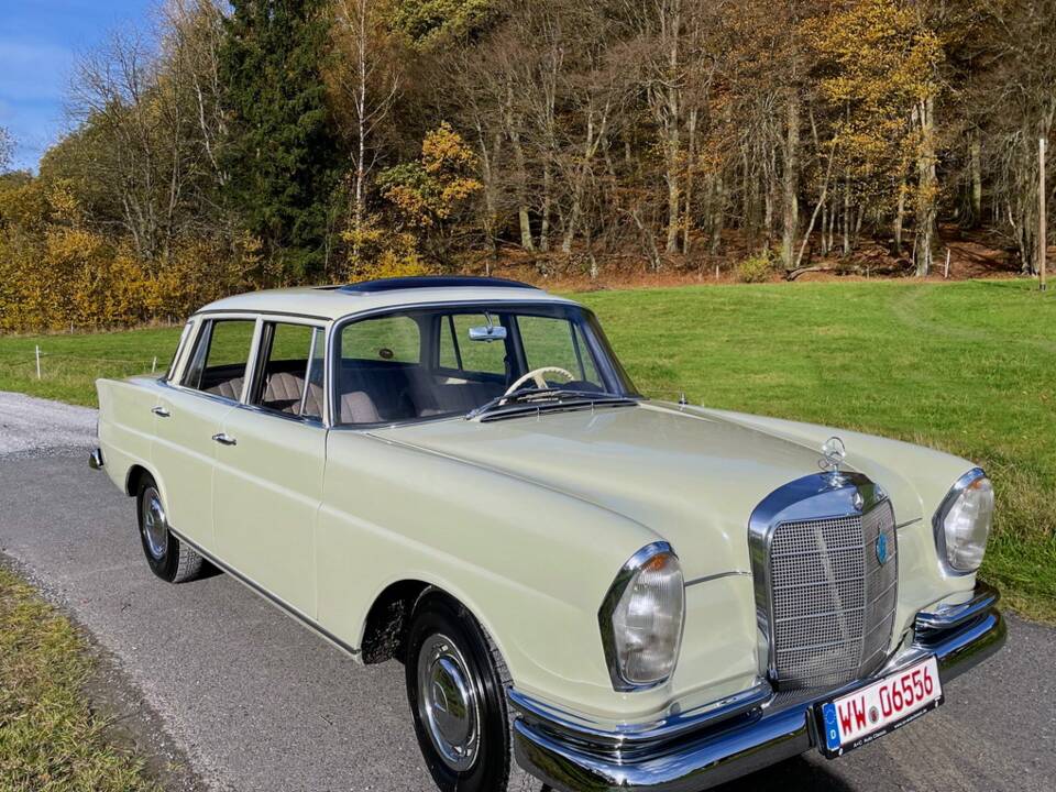 Bild 1/17 von Mercedes-Benz 220 b (1964)