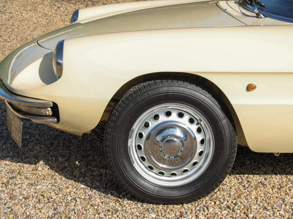 Image 36/50 of Alfa Romeo 1600 Duetto (1967)