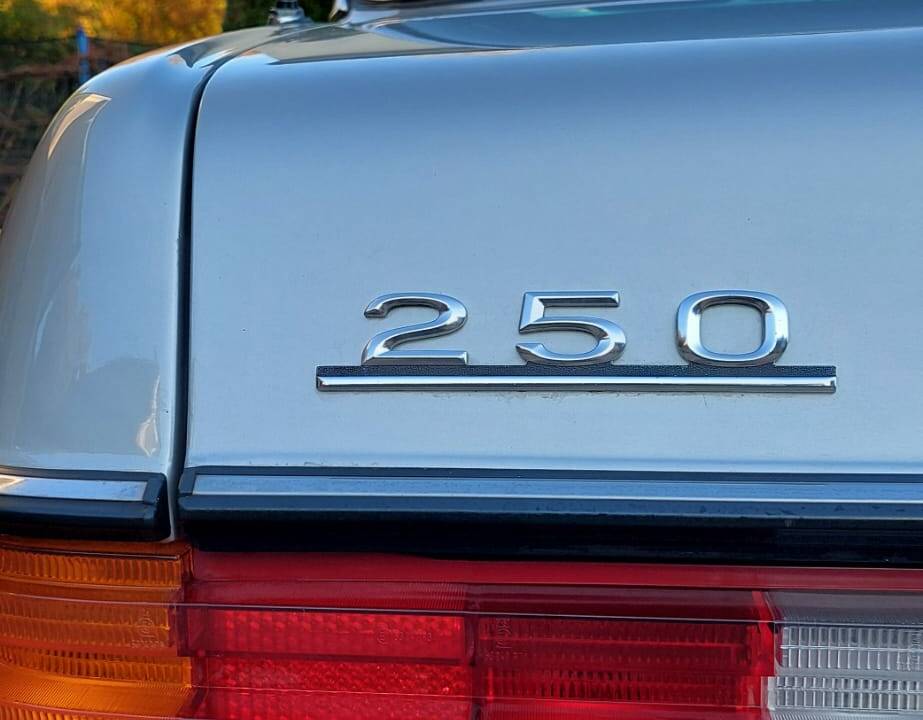 Image 6/16 of Mercedes-Benz 250 (1980)