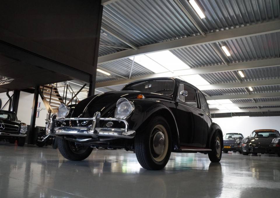 Bild 30/50 von Volkswagen Käfer 1300 (1967)