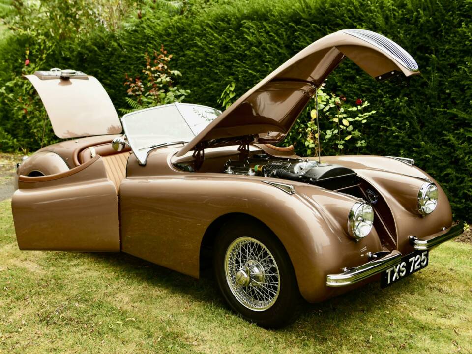 Image 18/50 de Jaguar XK 120 OTS (1950)