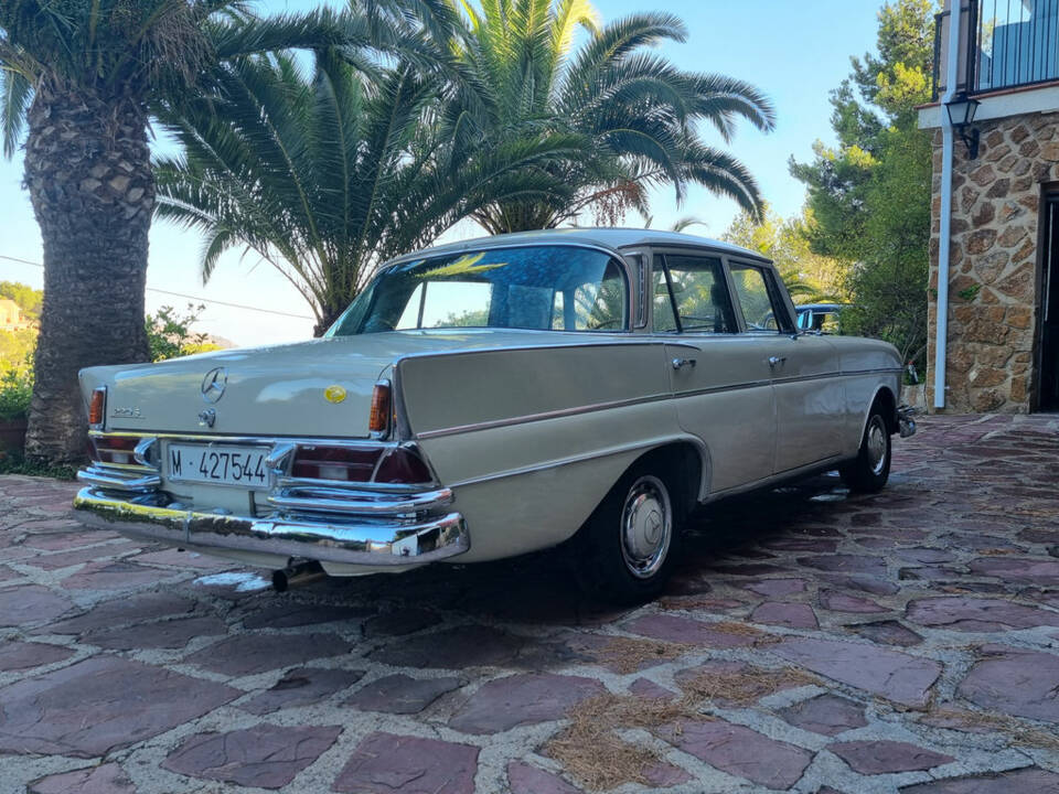 Immagine 2/8 di Mercedes-Benz 220 SE b (1965)