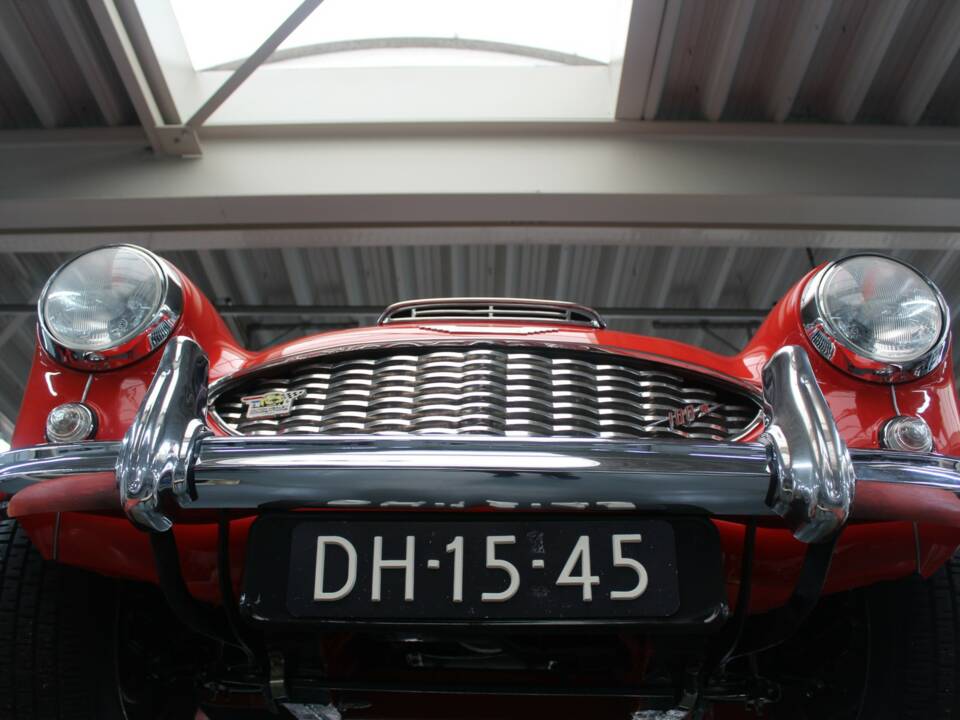 Image 19/50 of Austin-Healey 100/6 (BN6) (1959)