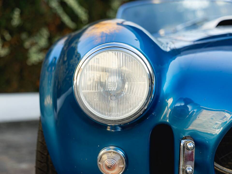 Image 9/68 of Shelby Cobra 289 (1966)