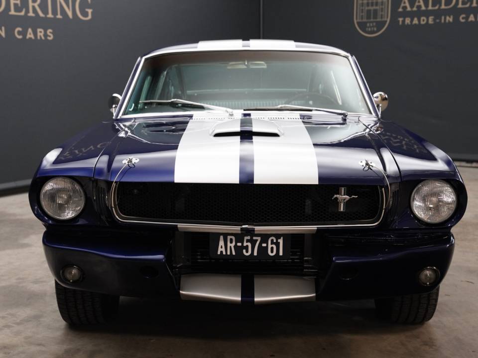 Immagine 5/50 di Ford Shelby GT 350 (1965)