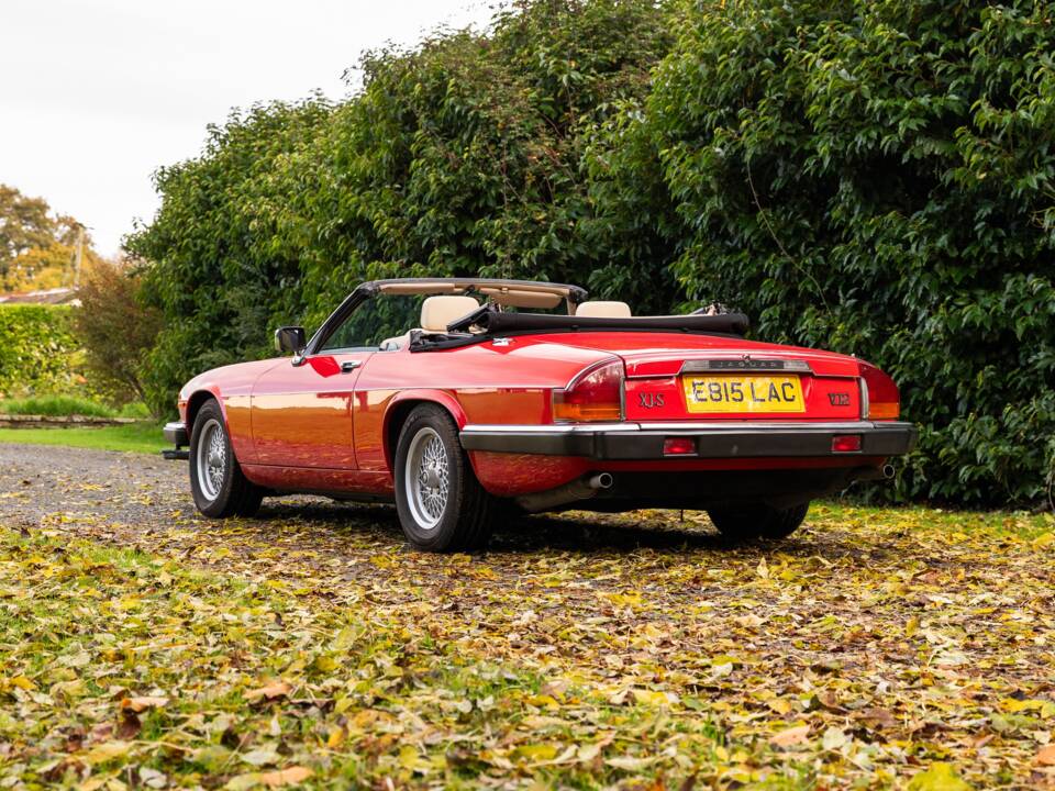 Image 23/50 of Jaguar XJS 5.3 V12 (1988)