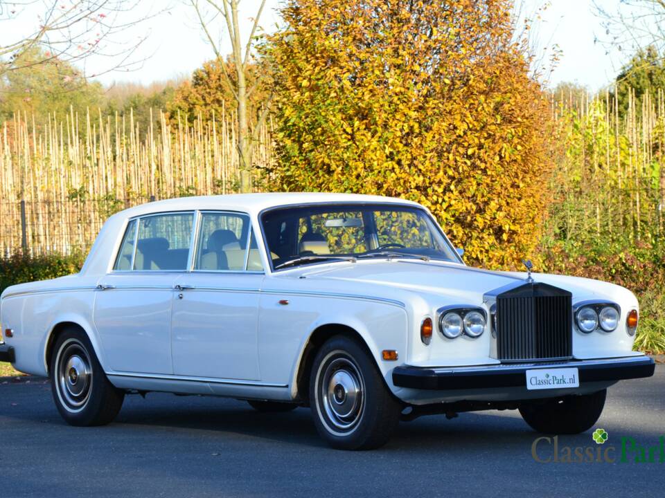 Imagen 7/50 de Rolls-Royce Silver Wraith II (1979)