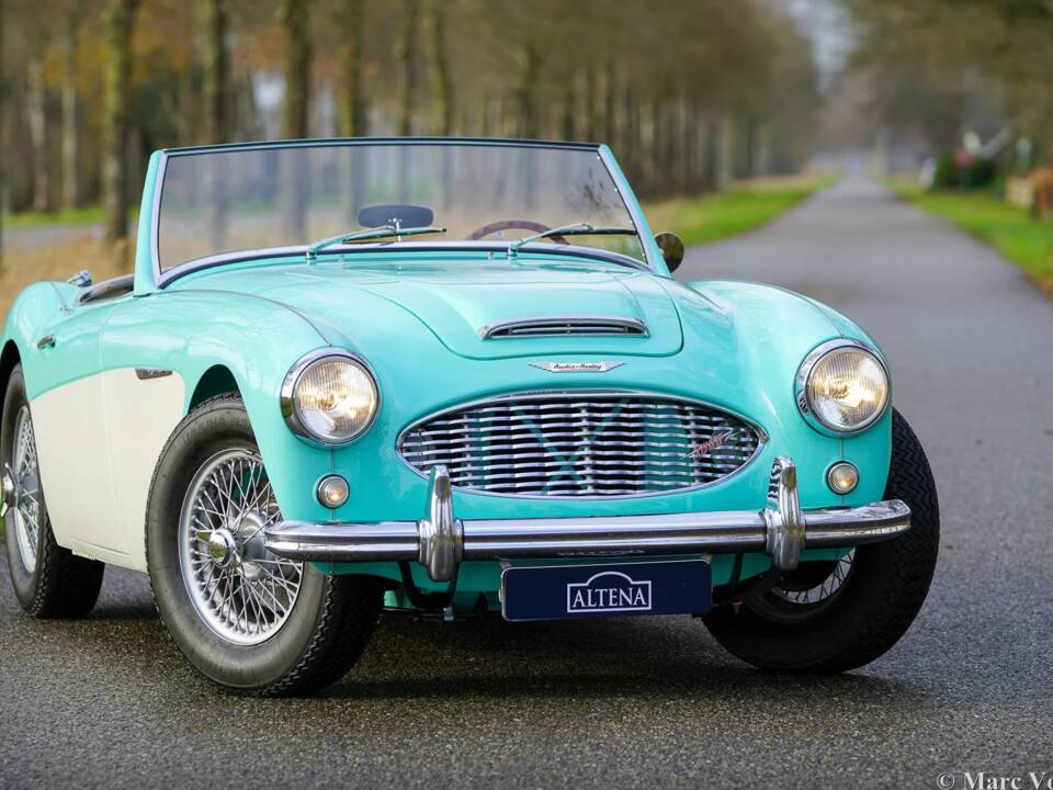 Immagine 15/48 di Austin-Healey 3000 Mk I (BN7) (1960)