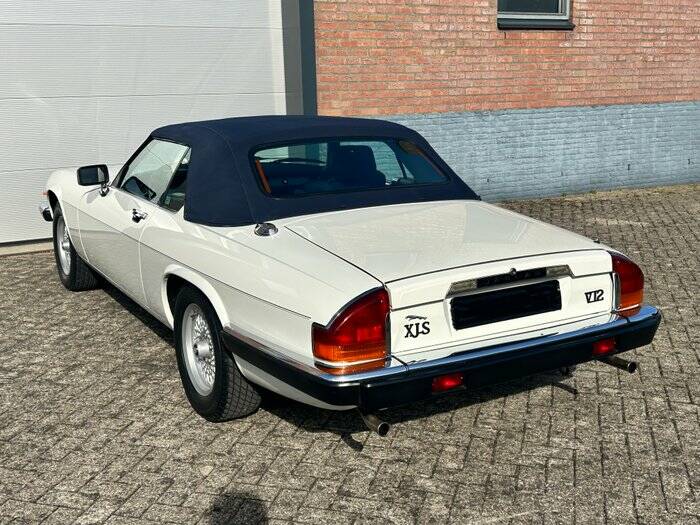 Bild 6/7 von Jaguar XJS 5.3 V12 (1988)