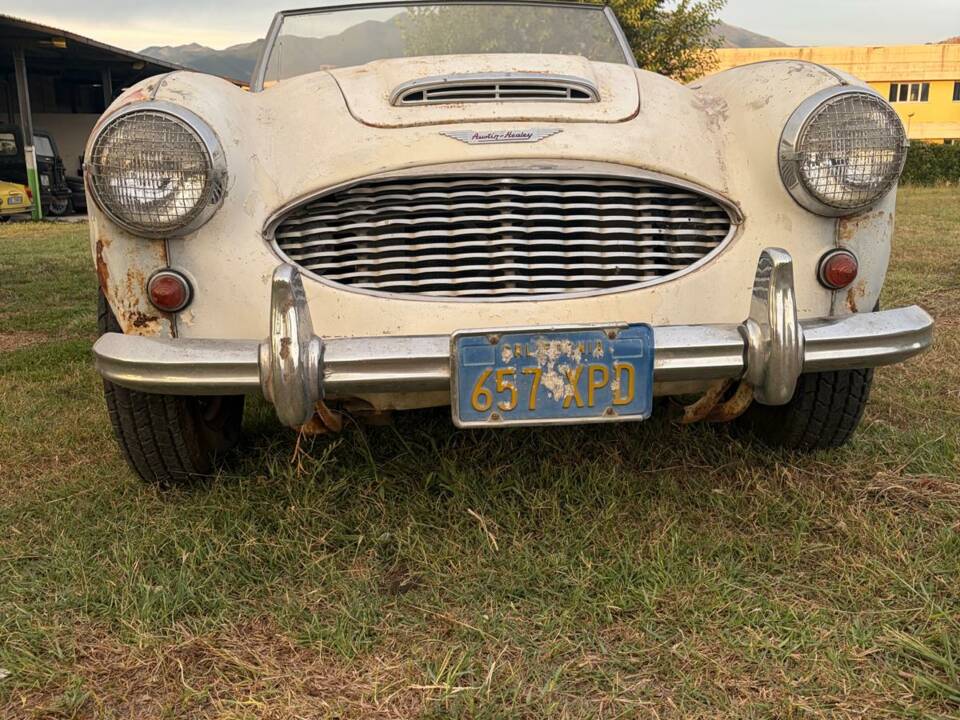 Bild 13/22 von Austin-Healey 3000 Mk II (BN7) (1960)
