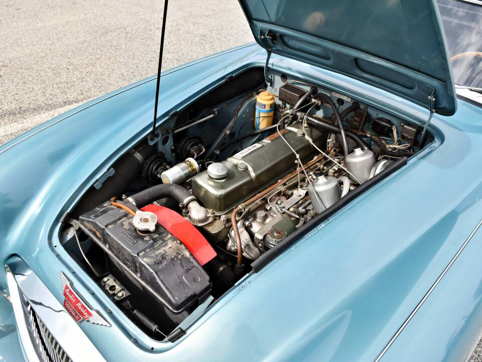 Bild 17/61 von Austin-Healey 3000 Mk III (BJ8) (1965)