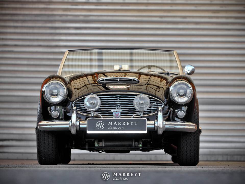 Immagine 8/68 di Austin-Healey 3000 Mk I (BT7) (1959)