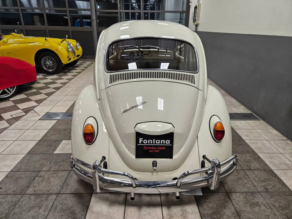 Bild 7/13 von Volkswagen Beetle 1300 (1967)