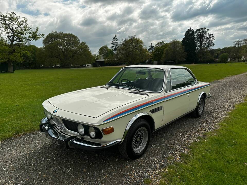 Immagine 14/55 di BMW 3.0 CSL (1973)