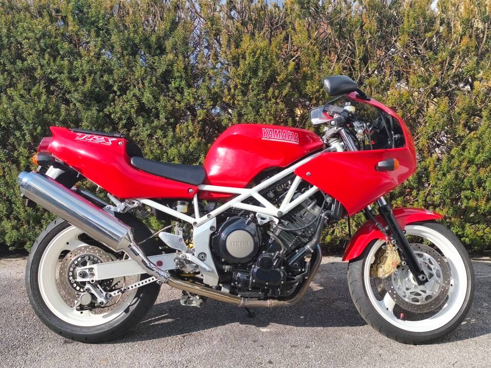 Image 14/18 of Yamaha TRX 850 (1995)