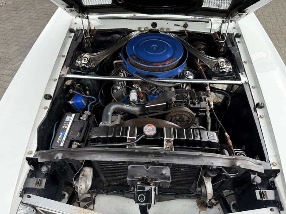 Image 31/50 de Ford Shelby GT 350 (1969)