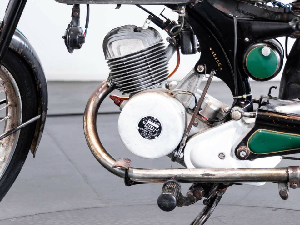 Immagine 26/33 di Benelli DUMMY (1960)