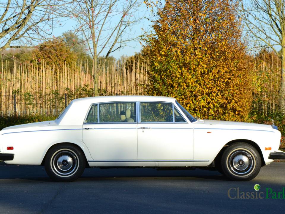 Bild 6/50 von Rolls-Royce Silver Wraith II (1979)